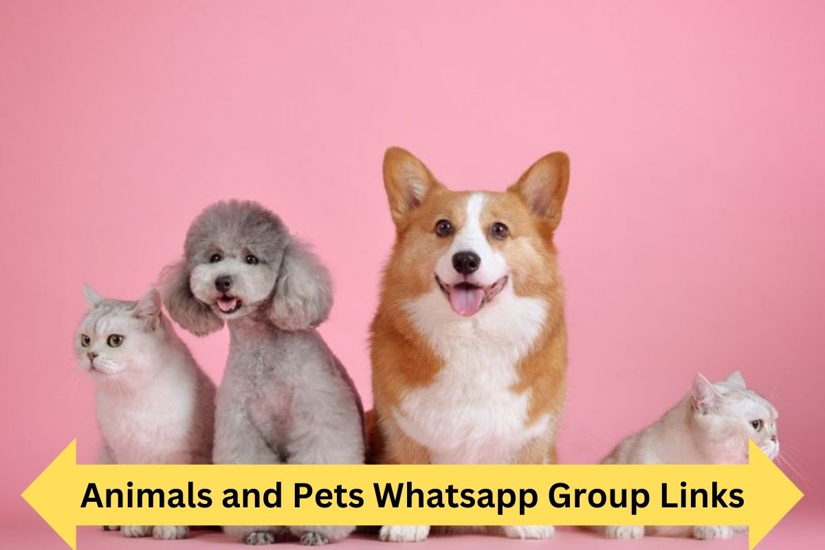 Animals And Pets Whatsapp